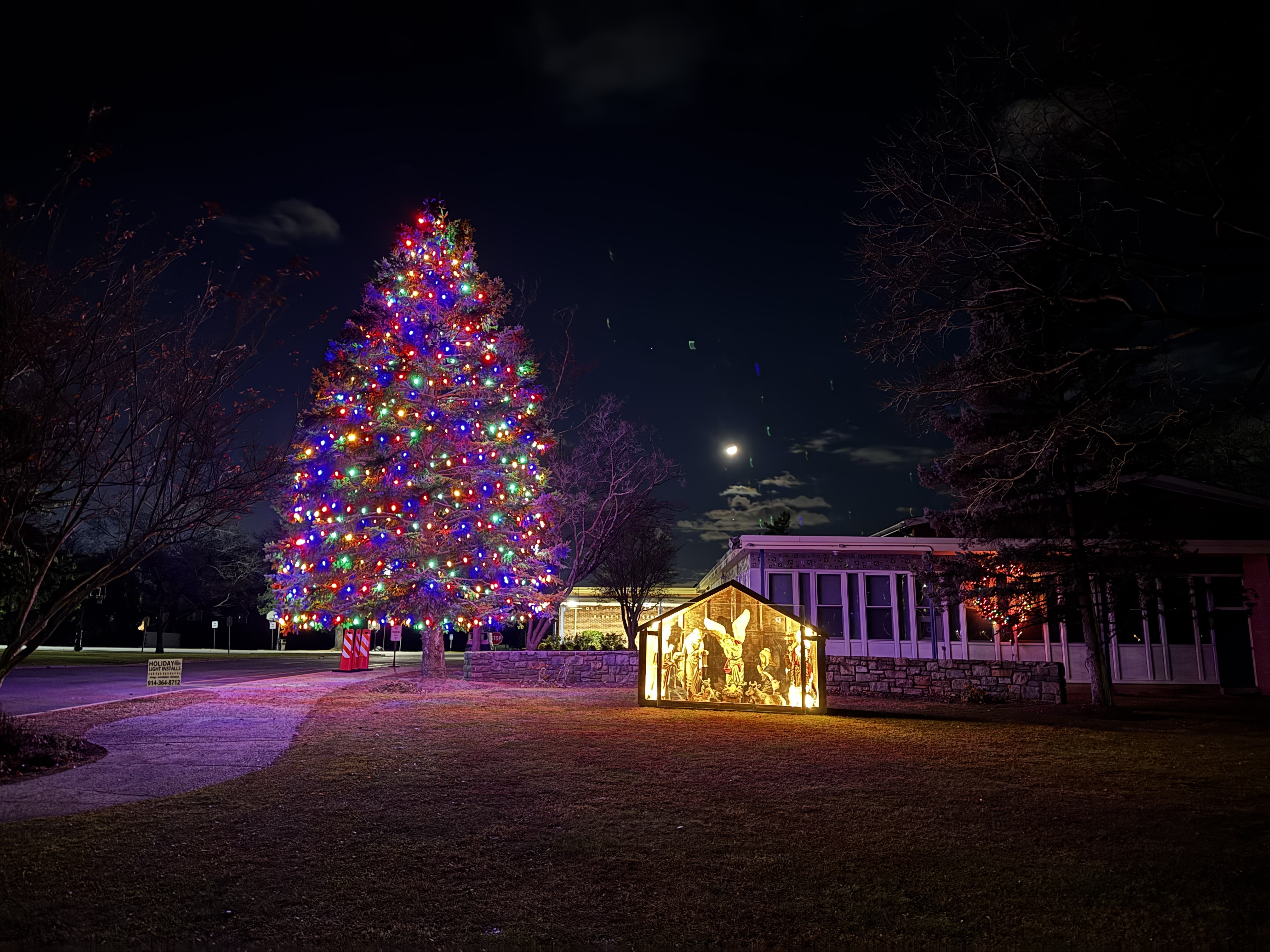 Christmas tree and nativity lit at night