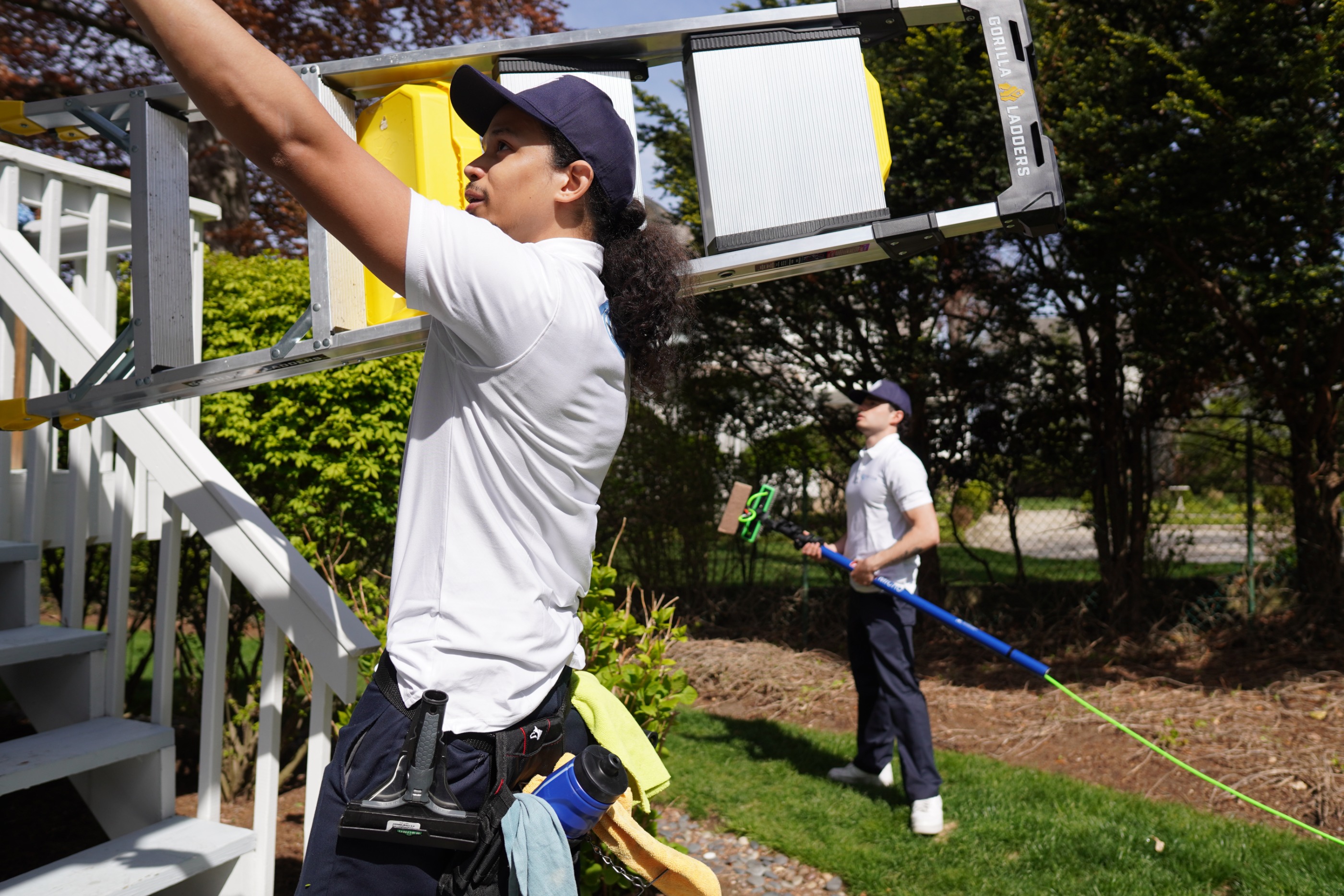 Tiger Clean technicians cleaning windows with a ladder and water-fed pole